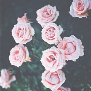 Meet your Posher, Angie